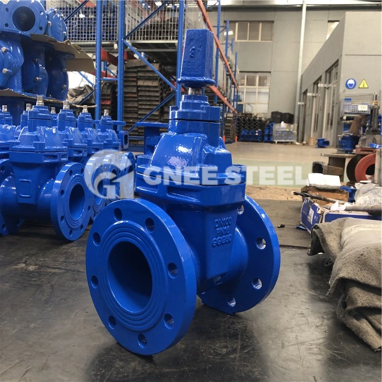 ci valve