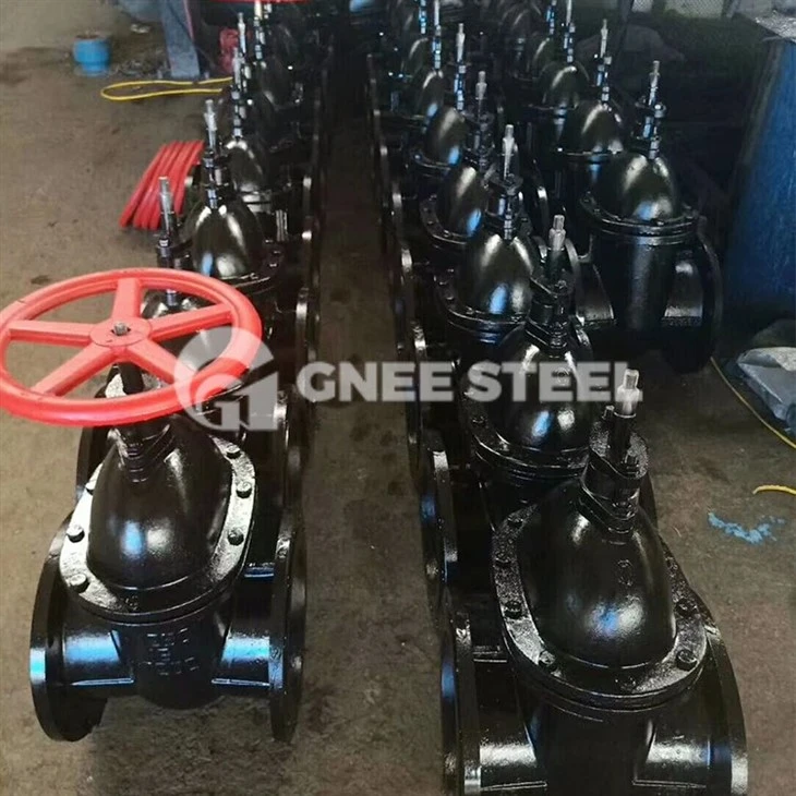 ci sluice valve