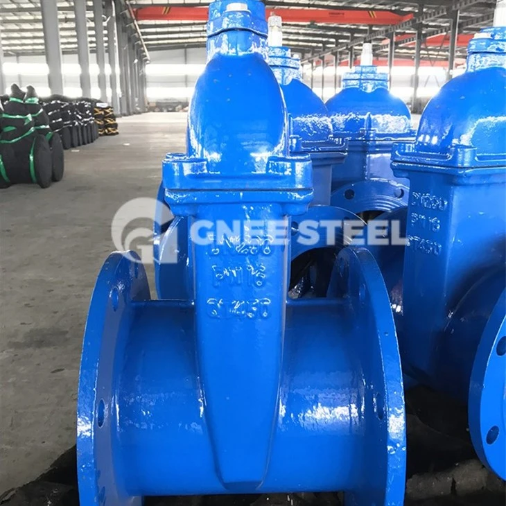 cast iron valves