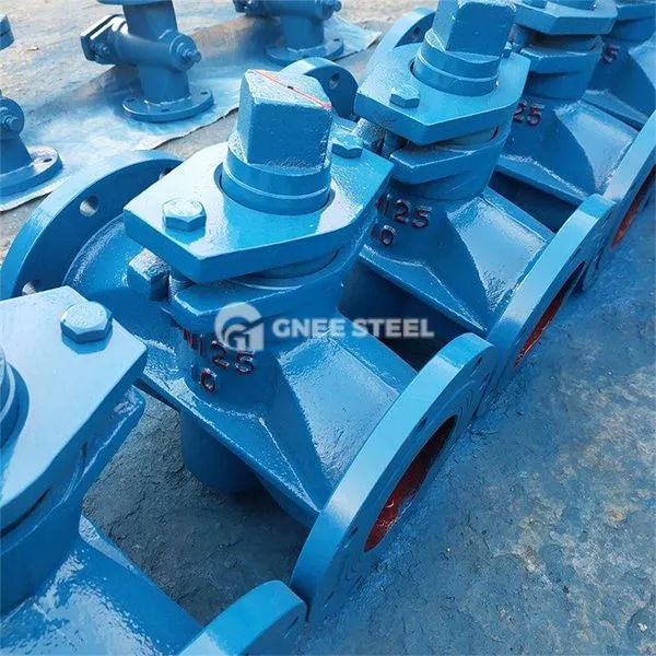 Falf plwg ynysu dwbl