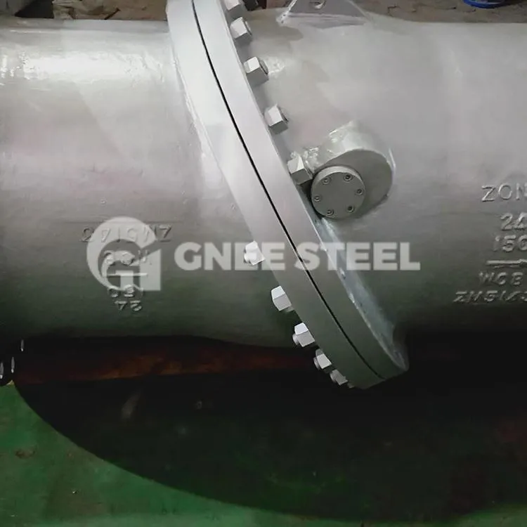 Falfiau Gwirio Disg Tilting Flanged