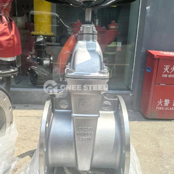 A351 CF8M Gate Valve A351 CF8M Gate Valve