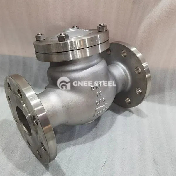 Falfiau gwirio cryogenig dur gwrthstaen